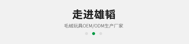 关于雄韬